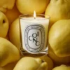Coing (kvitten) – klassiskt ljus Coing (kvitten) – klassiskt ljus