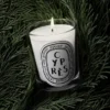 Cypras (cypress) – klassiskt ljus Cypras (cypress) – klassiskt ljus