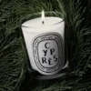 Cypras (cypress) – klassiskt ljus Cypras (cypress) – klassiskt ljus