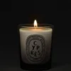 Cypras (cypress) – litet ljus