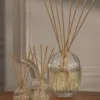 Doftdiffusor för hemmet – glasbehållare – 100 ml