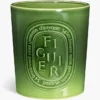 Figuier (fikonträd) – mycket stort ljus