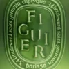 Figuier (fikonträd) – mycket stort ljus