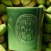 Figuier (fikonträd) – mycket stort ljus
