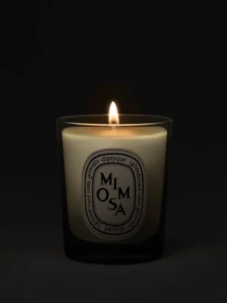 Mimosa – litet ljus