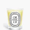 Oranger (apelsinträd) – klassiskt ljus Oranger (apelsinträd) – klassiskt ljus