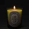 Oranger (apelsinträd) – klassiskt ljus Oranger (apelsinträd) – klassiskt ljus
