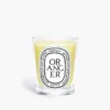 Oranger (apelsinträd) – klassiskt ljus Oranger (apelsinträd) – klassiskt ljus