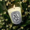 Tilleul (lind) – klassiskt ljus Tilleul (lind) – klassiskt ljus