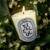 Tilleul (lind) – klassiskt ljus Tilleul (lind) – klassiskt ljus